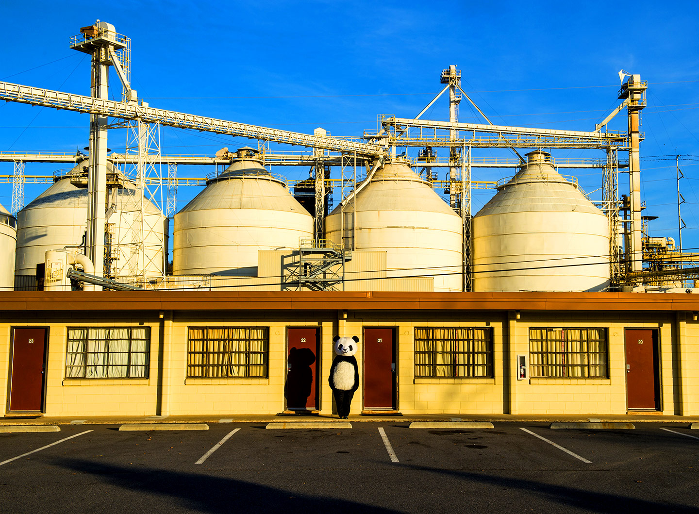 Bryan Regan Photography Side show Panda project