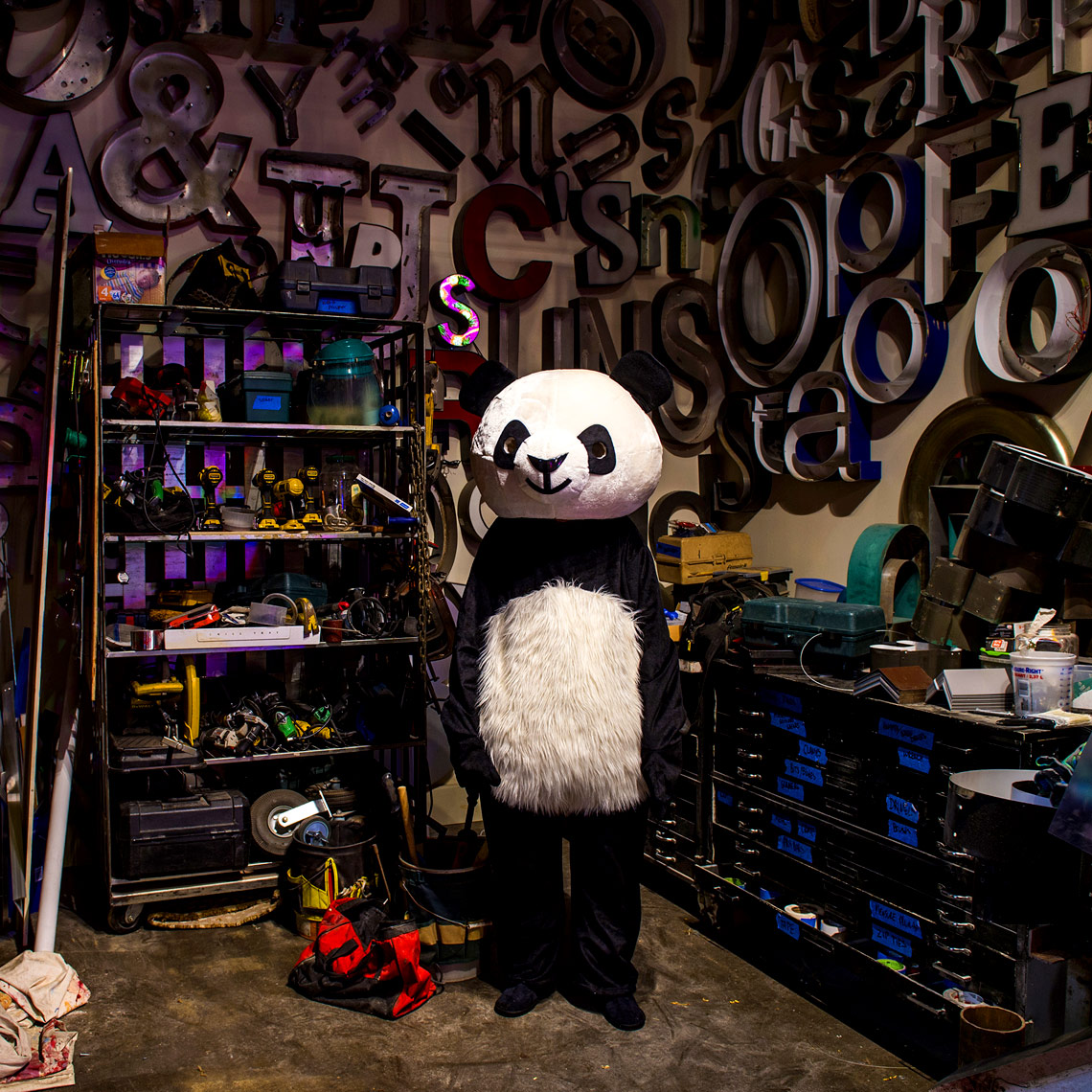 Bryan Regan Photography Side show Panda project